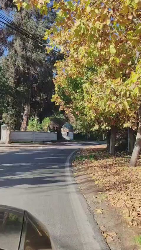 UN DIA DE BORDADO MAGICO